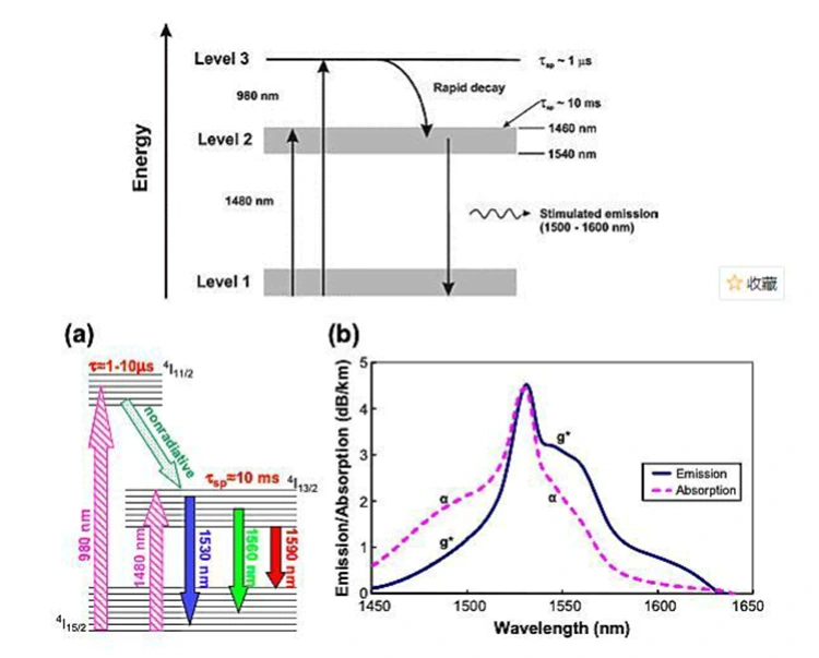 Optik Gücləndirmə üçün Erbium qatqılı Fiber Gücləndirici (EDFA).